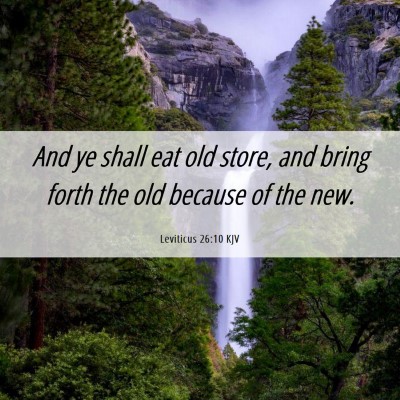 Picture 06 - Leviticus 26:10 KJV - And ye shall eat old store, and bring forth the - Bible Verse Picture
