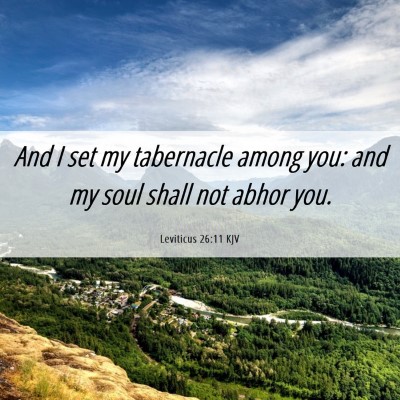 Picture 06 - Leviticus 26:11 KJV - And I set my tabernacle among you: and my soul - Bible Verse Picture