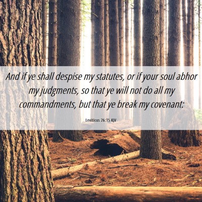 Picture 06 - Leviticus 26:15 KJV - And if ye shall despise my statutes, or if your - Bible Verse Picture