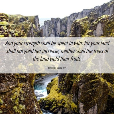 Picture 06 - Leviticus 26:20 KJV - And your strength shall be spent in vain: for - Bible Verse Picture