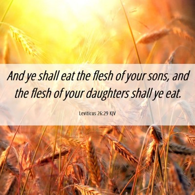 Picture 06 - Leviticus 26:29 KJV - And ye shall eat the flesh of your sons, and the - Bible Verse Picture
