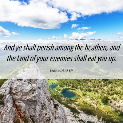 Picture 06 - Leviticus 26:38 KJV - And ye shall perish among the heathen, and the - Bible Verse Picture