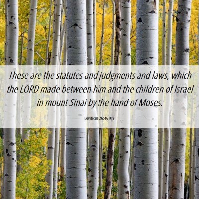 Picture 06 - Leviticus 26:46 KJV - These are the statutes and judgments and laws, - Bible Verse Picture