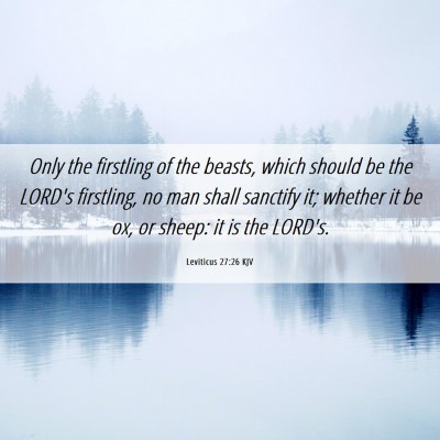 Picture 06 - Leviticus 27:26 KJV - Only the firstling of the beasts, which should be - Bible Verse Picture