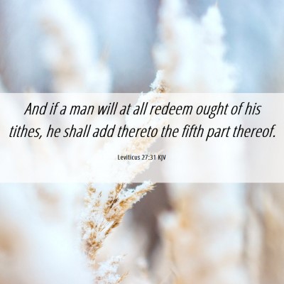 Picture 06 - Leviticus 27:31 KJV - And if a man will at all redeem ought of his - Bible Verse Picture
