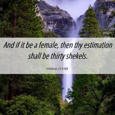 Picture 06 - Leviticus 27:4 KJV - And if it be a female, then thy estimation shall - Bible Verse Picture