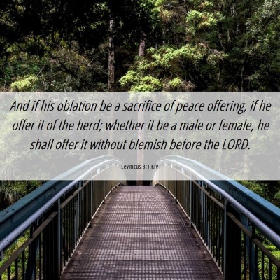 Picture 06 - Leviticus 3:1 KJV - And if his oblation be a sacrifice of peace - Bible Verse Picture
