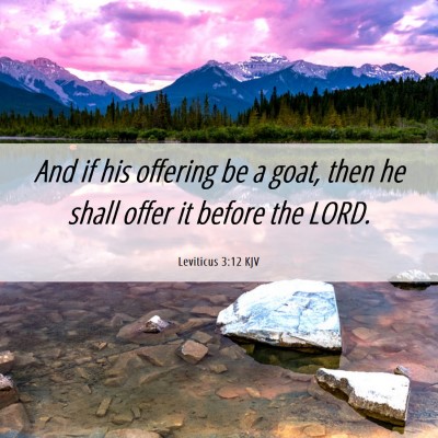Picture 06 - Leviticus 3:12 KJV - And if his offering be a goat, then he shall - Bible Verse Picture
