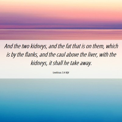 Picture 06 - Leviticus 3:4 KJV - And the two kidneys, and the fat that is on them, - Bible Verse Picture