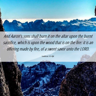 Picture 06 - Leviticus 3:5 KJV - And Aaron's sons shall burn it on the altar upon - Bible Verse Picture