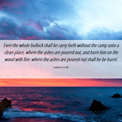 Picture 06 - Leviticus 4:12 KJV - Even the whole bullock shall he carry forth - Bible Verse Picture