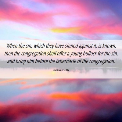 Picture 06 - Leviticus 4:14 KJV - When the sin, which they have sinned against it, - Bible Verse Picture