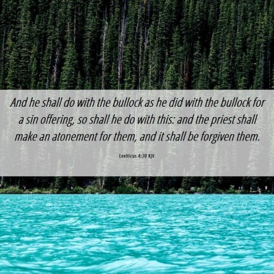 Picture 06 - Leviticus 4:20 KJV - And he shall do with the bullock as he did with - Bible Verse Picture