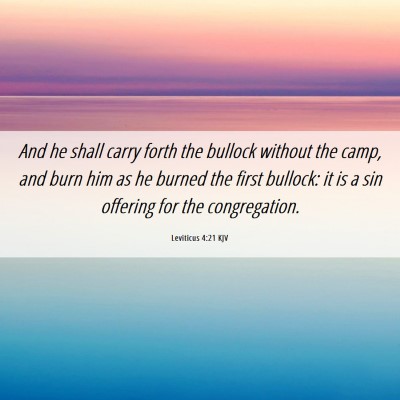 Picture 06 - Leviticus 4:21 KJV - And he shall carry forth the bullock without the - Bible Verse Picture