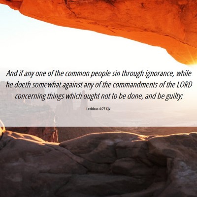 Picture 06 - Leviticus 4:27 KJV - And if any one of the common people sin through - Bible Verse Picture