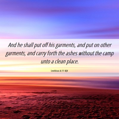 Picture 06 - Leviticus 6:11 KJV - And he shall put off his garments, and put on - Bible Verse Picture