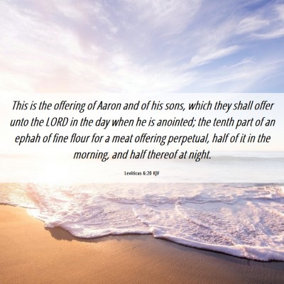 Picture 06 - Leviticus 6:20 KJV - This is the offering of Aaron and of his sons, - Bible Verse Picture