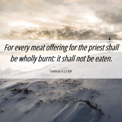 Picture 06 - Leviticus 6:23 KJV - For every meat offering for the priest shall be - Bible Verse Picture