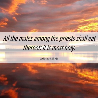 Picture 06 - Leviticus 6:29 KJV - All the males among the priests shall eat - Bible Verse Picture