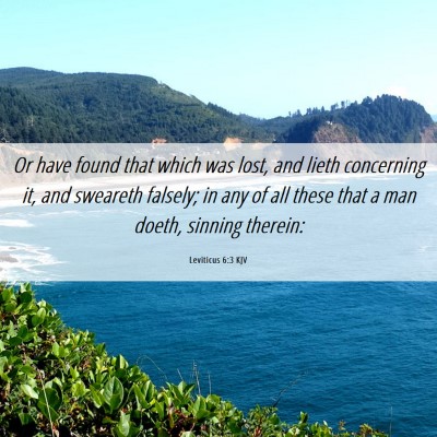 Picture 06 - Leviticus 6:3 KJV - Or have found that which was lost, and lieth - Bible Verse Picture