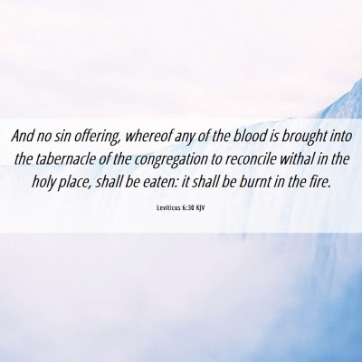 Picture 06 - Leviticus 6:30 KJV - And no sin offering, whereof any of the blood is - Bible Verse Picture