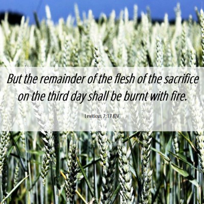 Picture 06 - Leviticus 7:17 KJV - But the remainder of the flesh of the sacrifice - Bible Verse Picture