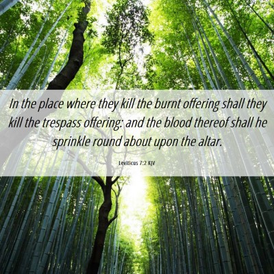 Picture 06 - Leviticus 7:2 KJV - In the place where they kill the burnt offering - Bible Verse Picture