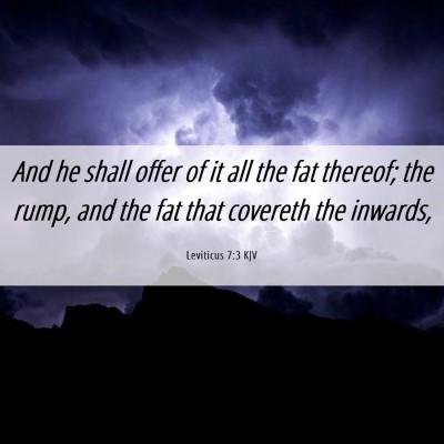 Picture 06 - Leviticus 7:3 KJV - And he shall offer of it all the fat thereof; the - Bible Verse Picture
