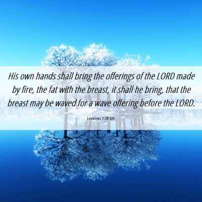 Picture 06 - Leviticus 7:30 KJV - His own hands shall bring the offerings of the - Bible Verse Picture