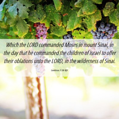 Picture 06 - Leviticus 7:38 KJV - Which the LORD commanded Moses in mount Sinai, in - Bible Verse Picture