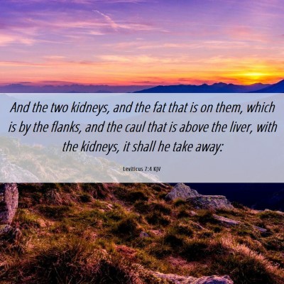 Picture 06 - Leviticus 7:4 KJV - And the two kidneys, and the fat that is on them, - Bible Verse Picture