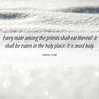 Picture 06 - Leviticus 7:6 KJV - Every male among the priests shall eat thereof: - Bible Verse Picture