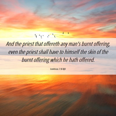 Picture 06 - Leviticus 7:8 KJV - And the priest that offereth any man's burnt - Bible Verse Picture