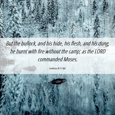 Picture 06 - Leviticus 8:17 KJV - But the bullock, and his hide, his flesh, and his - Bible Verse Picture