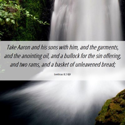 Picture 06 - Leviticus 8:2 KJV - Take Aaron and his sons with him, and the - Bible Verse Picture