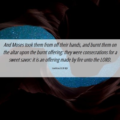 Picture 06 - Leviticus 8:28 KJV - And Moses took them from off their hands, and - Bible Verse Picture