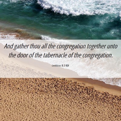 Picture 06 - Leviticus 8:3 KJV - And gather thou all the congregation together - Bible Verse Picture