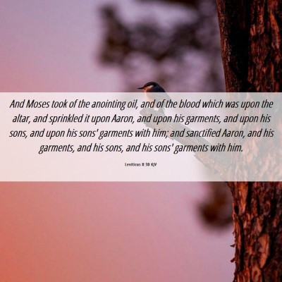 Picture 06 - Leviticus 8:30 KJV - And Moses took of the anointing oil, and of the - Bible Verse Picture
