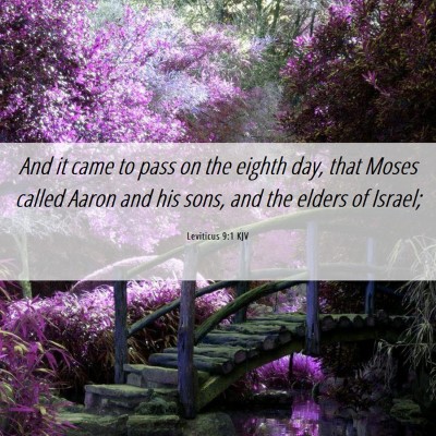 Picture 06 - Leviticus 9:1 KJV - And it came to pass on the eighth day, that Moses - Bible Verse Picture