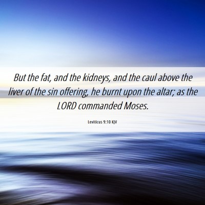 Picture 06 - Leviticus 9:10 KJV - But the fat, and the kidneys, and the caul above - Bible Verse Picture