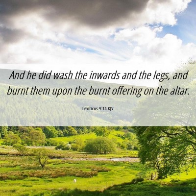 Picture 06 - Leviticus 9:14 KJV - And he did wash the inwards and the legs, and - Bible Verse Picture