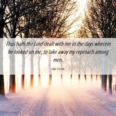 Picture 06 - Luke 1:25 KJV - Thus hath the Lord dealt with me in the days - Bible Verse Picture