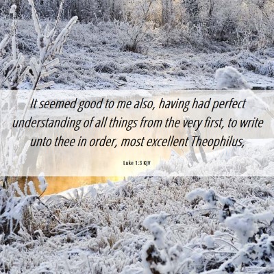 Picture 06 - Luke 1:3 KJV - It seemed good to me also, having had perfect - Bible Verse Picture