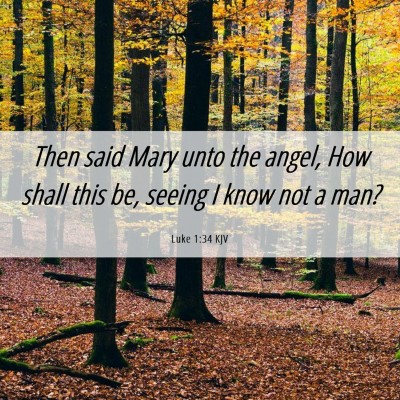 Picture 06 - Luke 1:34 KJV - Then said Mary unto the angel, How shall this be, - Bible Verse Picture