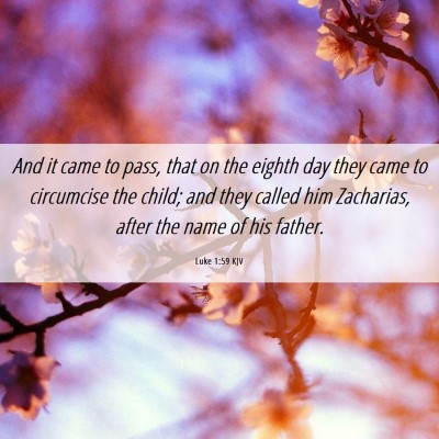 Picture 06 - Luke 1:59 KJV - And it came to pass, that on the eighth day they - Bible Verse Picture