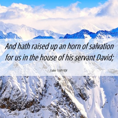 Picture 06 - Luke 1:69 KJV - And hath raised up an horn of salvation for us in - Bible Verse Picture