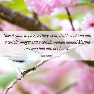 Picture 06 - Luke 10:38 KJV - Now it came to pass, as they went, that he - Bible Verse Picture