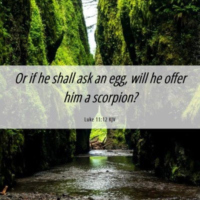 Picture 06 - Luke 11:12 KJV - Or if he shall ask an egg, will he offer him a - Bible Verse Picture