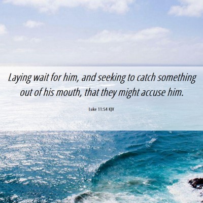 Picture 06 - Luke 11:54 KJV - Laying wait for him, and seeking to catch - Bible Verse Picture