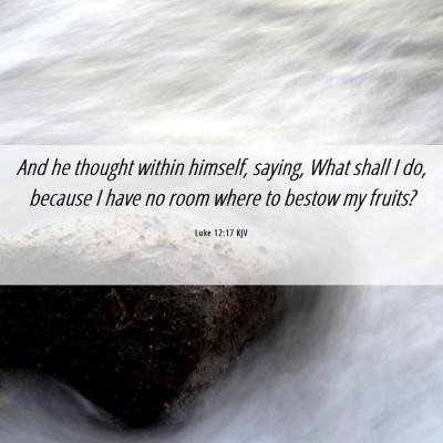 Picture 06 - Luke 12:17 KJV - And he thought within himself, saying, What shall - Bible Verse Picture